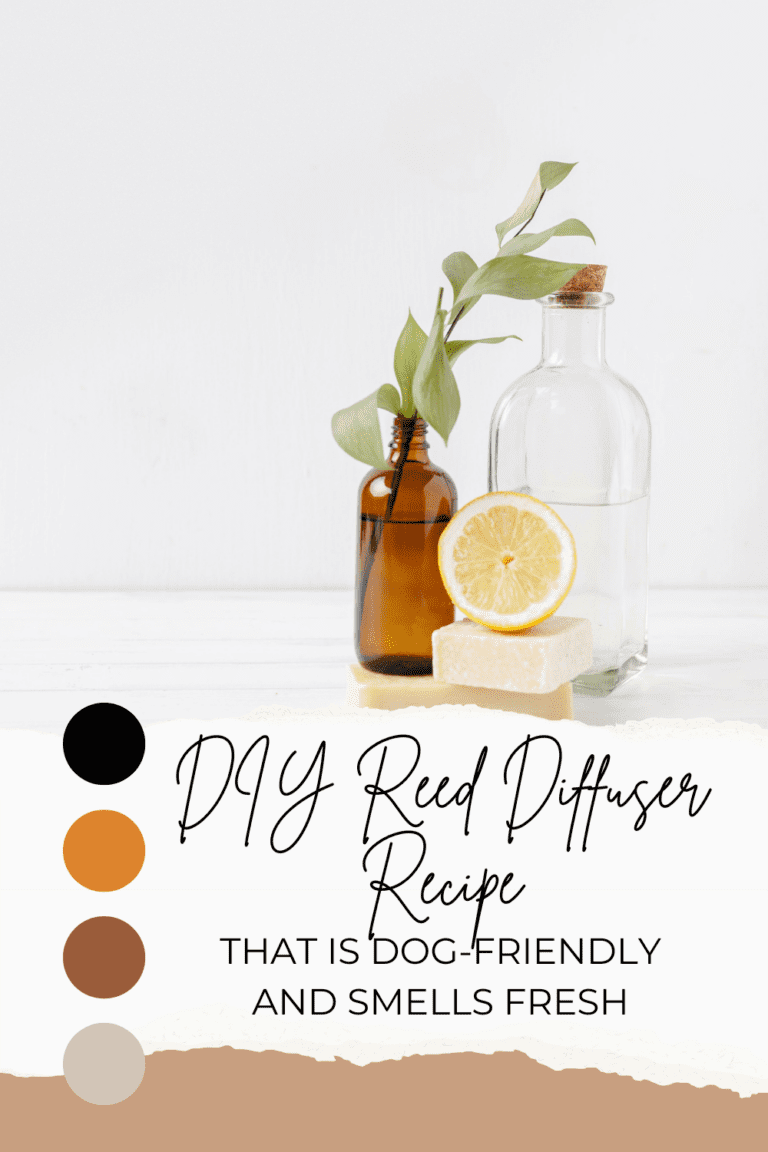 DIY-REED-DIFFUSER-RECIPE-THAT-IS-DOG-FRIENDLY