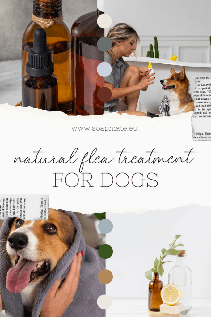 natural-flea-repellent-dogs