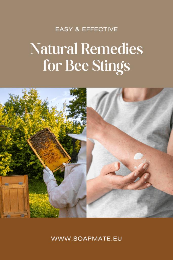 bee-sting-treatment