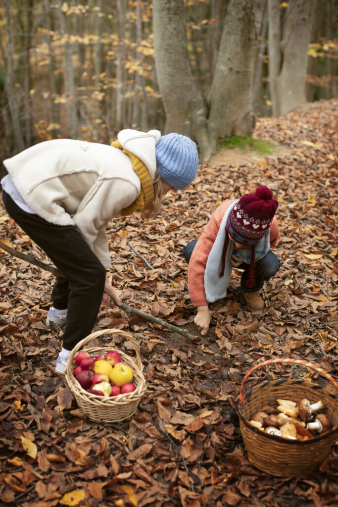 autumn-festivals-netherlands