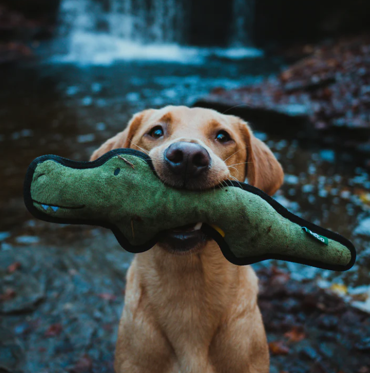 recycled-pet-toy-for-christmas