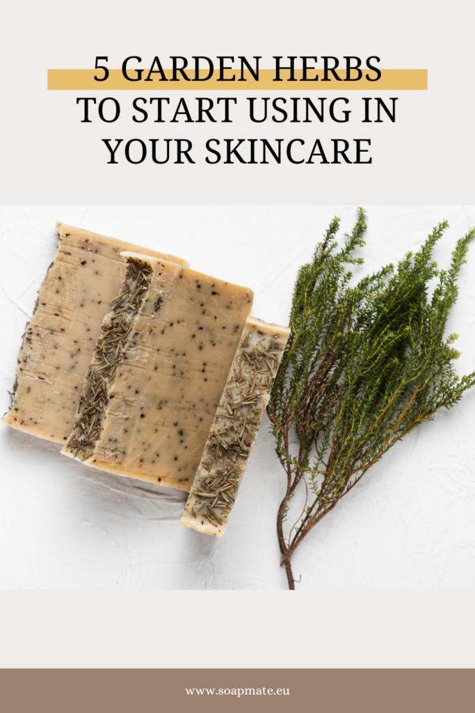 garden-herbs-for-herbal-soap