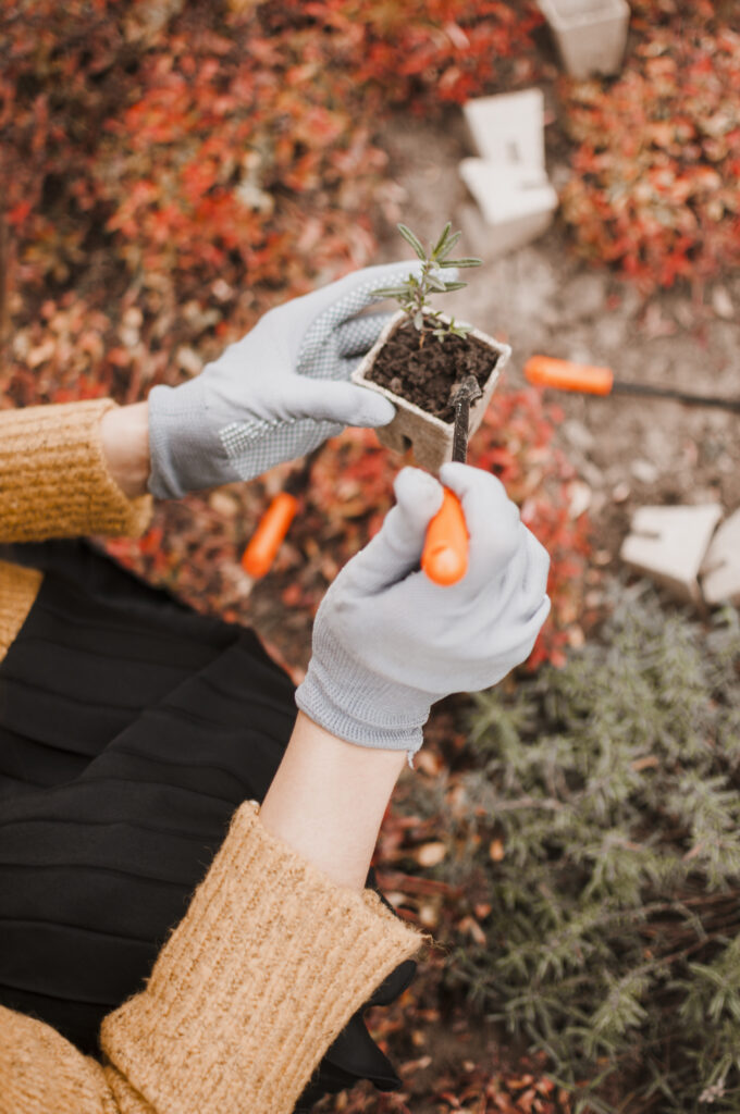 autumn-jobs-in-the-garden