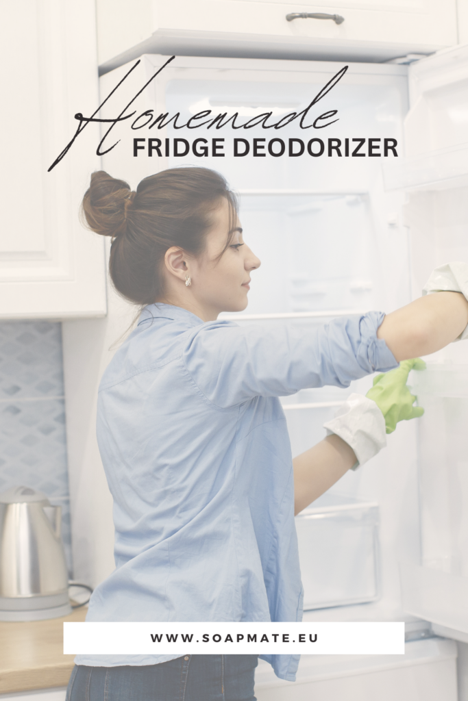 homemade-fridge-deodorizer