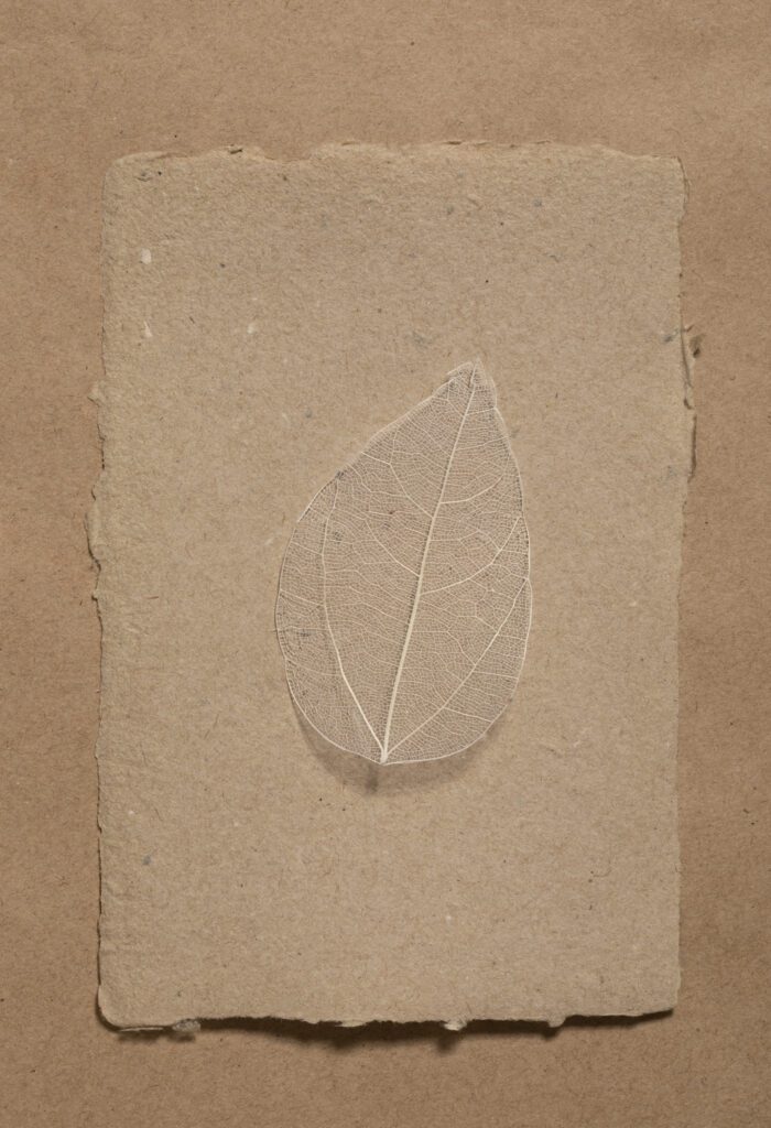 plantable-seed-paper-for-soap-packaging