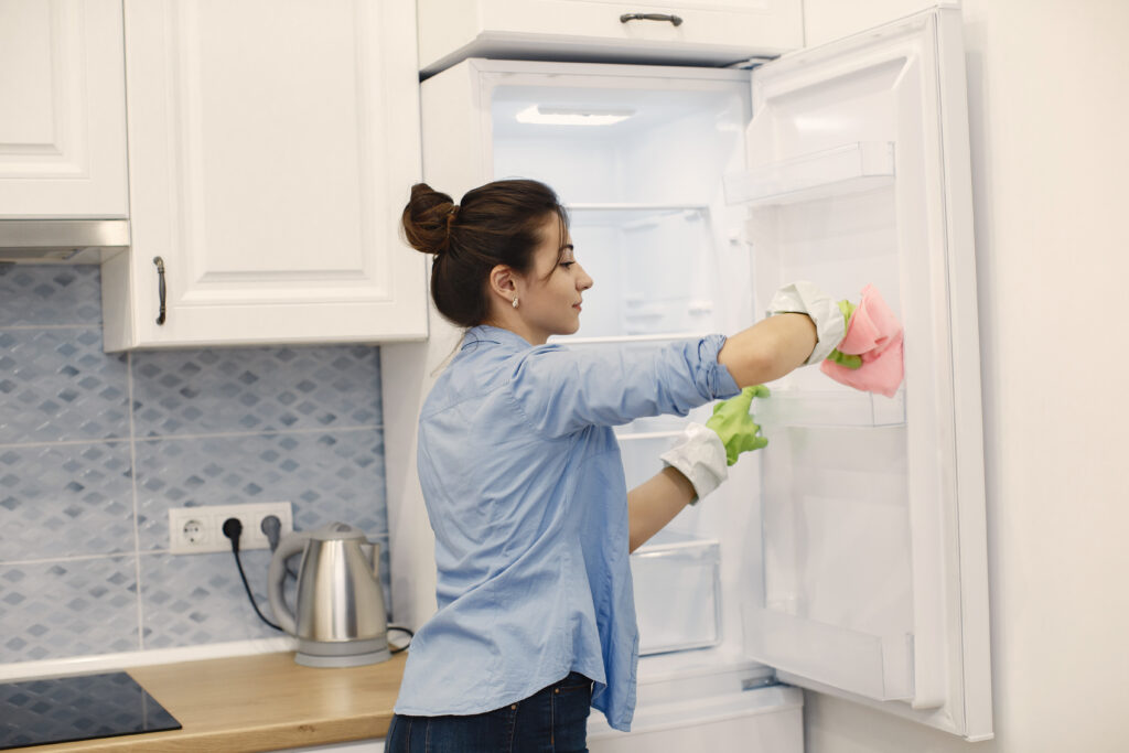 air-freshener-for-fridge