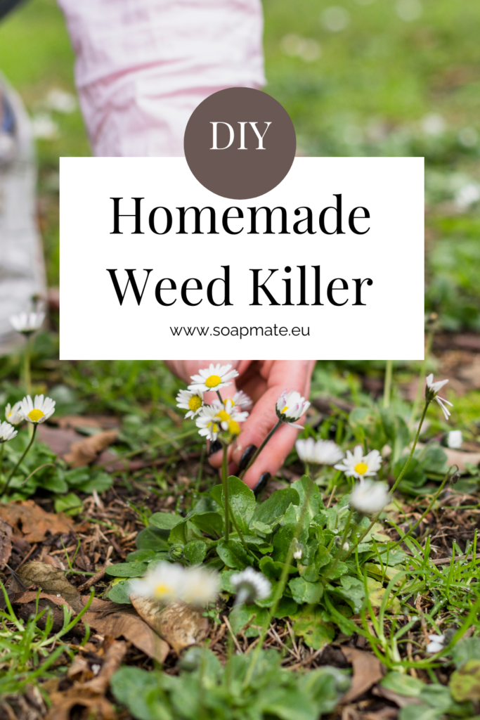 diy-homemade-weed-killer-recipe