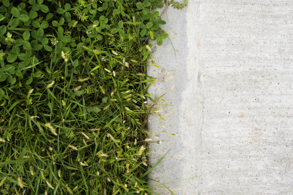 weed-killer-pavement