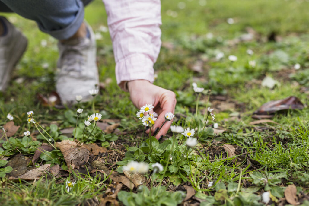 best-homemade-weed-killer-recipe